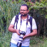 Portrait of a photographer (avatar) Reza Feizy (رضا فیضی)