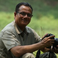Портрет фотографа (аватар) RAJESH MAHAJAN