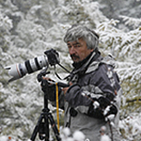Portrait of a photographer (avatar) Сергей Козлов (Sergey Kozlov)