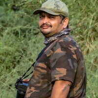 Portrait of a photographer (avatar) Hardik Shah