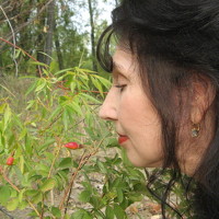 Portrait of a photographer (avatar) Елена Шубочкина (Elena Shubochkina)