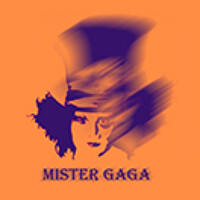 Portrait of a photographer (avatar) Gaga Mister