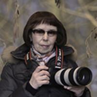 Portrait of a photographer (avatar) Наталия Сытина (Natali Sytina)