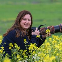 Portrait of a photographer (avatar) Neslihan Taylan Tülbentci (Neslihan)