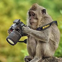 Portrait of a photographer (avatar) Aleak Joshman