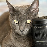 Portrait of a photographer (avatar) Sergey Drobkov