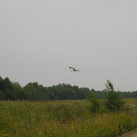 Портрет фотографа (аватар) Алех (Владим)