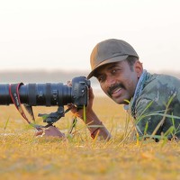 Portrait of a photographer (avatar) Nitin Sonawane (Nitin Keshavrao Sonawane)