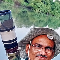 Portrait of a photographer (avatar) Vivek Raut