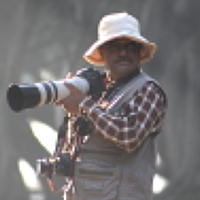 Portrait of a photographer (avatar) Bhagwat Tavri