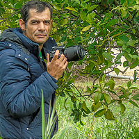 Portrait of a photographer (avatar) Luís Ribeiro