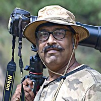 Portrait of a photographer (avatar) SACHIN MATKAR