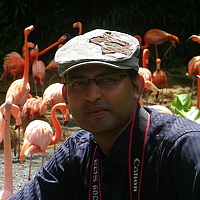 Portrait of a photographer (avatar) Sudipta Chakraborty