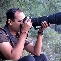 Portrait of a photographer (avatar) Suketu Purohit