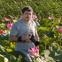 Portrait of a photographer (avatar) Vladimir Bragilevsky