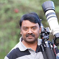 Portrait of a photographer (avatar) Bala Murali
