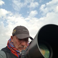 Portrait of a photographer (avatar) Federico Genovese