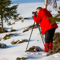 Portrait of a photographer (avatar) Costel Rotar
