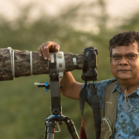 Portrait of a photographer (avatar) Ashok Behera