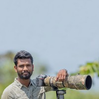 Portrait of a photographer (avatar) Mithun Senanayakege