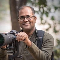 Portrait of a photographer (avatar) Md Hashinur Reza